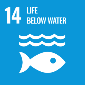 Focused on preserving life below water, this category highlights efforts within the project to protect marine ecosystems. Each activity here reflects our commitment to sustainable fishing practices, marine conservation, and the overall well-being of aquatic environments.