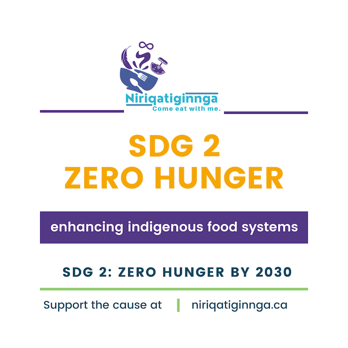 This project supports SDG 2 by empowering Indigenous youth with entrepreneurship skills in the food sector and addressing food insecurity in northern communities through initiatives like "Aqpik Jalapeño," promoting local food systems and economic opportunities while ensuring access to nutritious and culturally relevant foods. Through mentorship, training, and community engagement, it contributes to the goal of achieving zero hunger by fostering sustainable livelihoods and promoting healthy eating habits in Indigenous communities.
